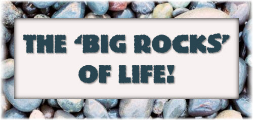 The Big Rocks of Life