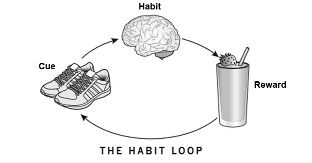 The Habit Loop