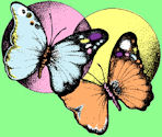 butterflies