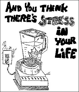 Fish in a blender - stress in your life!
