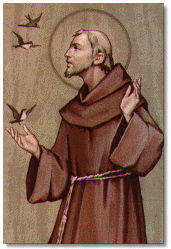 St_francis.gif (33630 bytes)