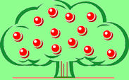 Apple Tree