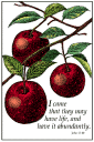 apples on a tree