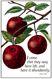 Have life more abundantly - branch of apples