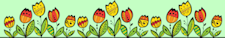 tulips separator bar