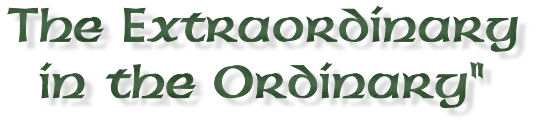 The Extraordinary in the Ordinary - Celtic Spirituality