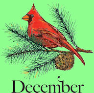 December 2014, Apple Seeds, quotations, inspiration, motivation