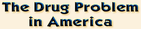 The Drug Problem in America
