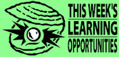 Pearl in oyster - This week's learning opportunities