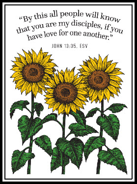 sunflowers - "By this all people will know that you are my disciples, if you love one another." Jn. 13:15
